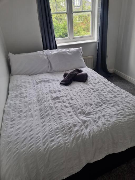 Maidstone Villa 3 Bedroom Free Sports Channels,Parking Sleeps 7 Exterior photo